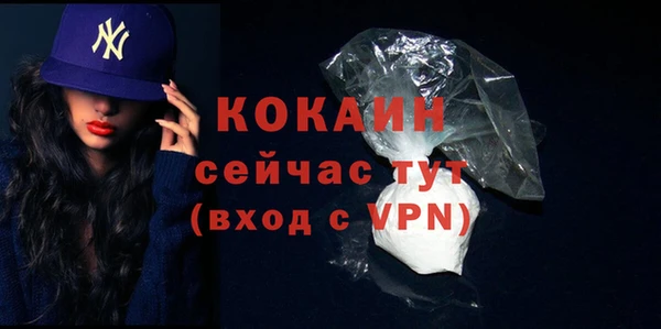 PSILOCYBIN Верея