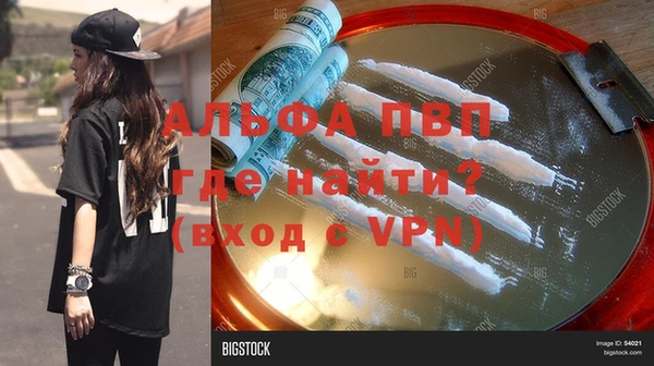 PSILOCYBIN Верея