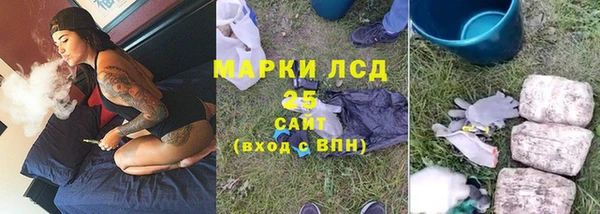 PSILOCYBIN Верея
