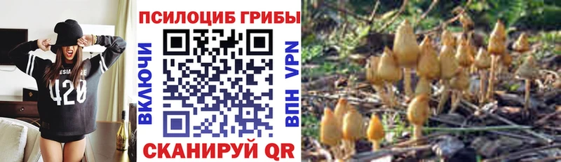 МЕГА ссылки  Рубцовск  Псилоцибиновые грибы Psilocybine cubensis  цены  